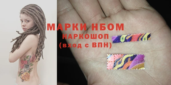 стаф Баксан