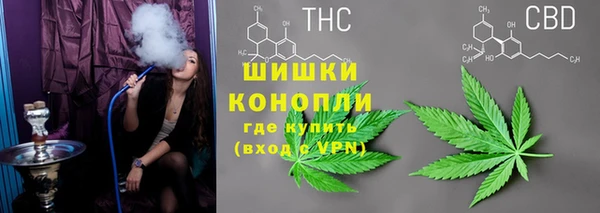 стаф Баксан