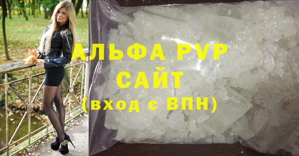стаф Баксан